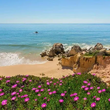 Sea View Paradise *